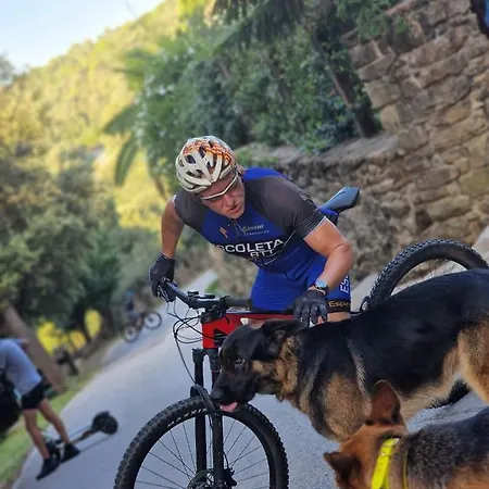 Willa El Raco Dels Mussols 2 Adri Zewnętrze zdjęcie