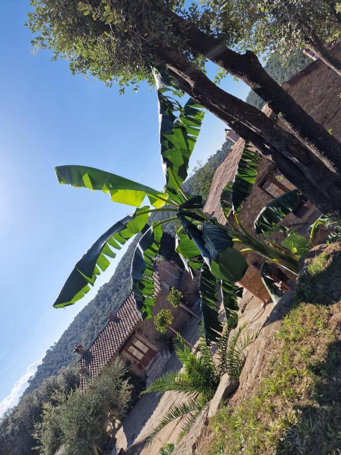 Vakantiehuis El Raco Dels Mussols 2